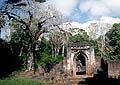 Gedi Ruins in Watamu, Kenya.