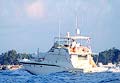 Deep sea sports fishing for marlin, sailfish and other game fish.